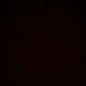 Meet your Posher, Daysha